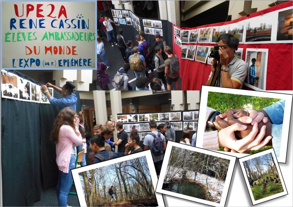 Expo UPE2A