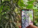 parcfloral