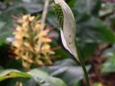 parcfloral
