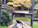 parcfloral