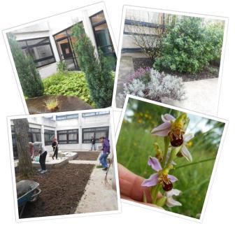 Jardins_Cassinois